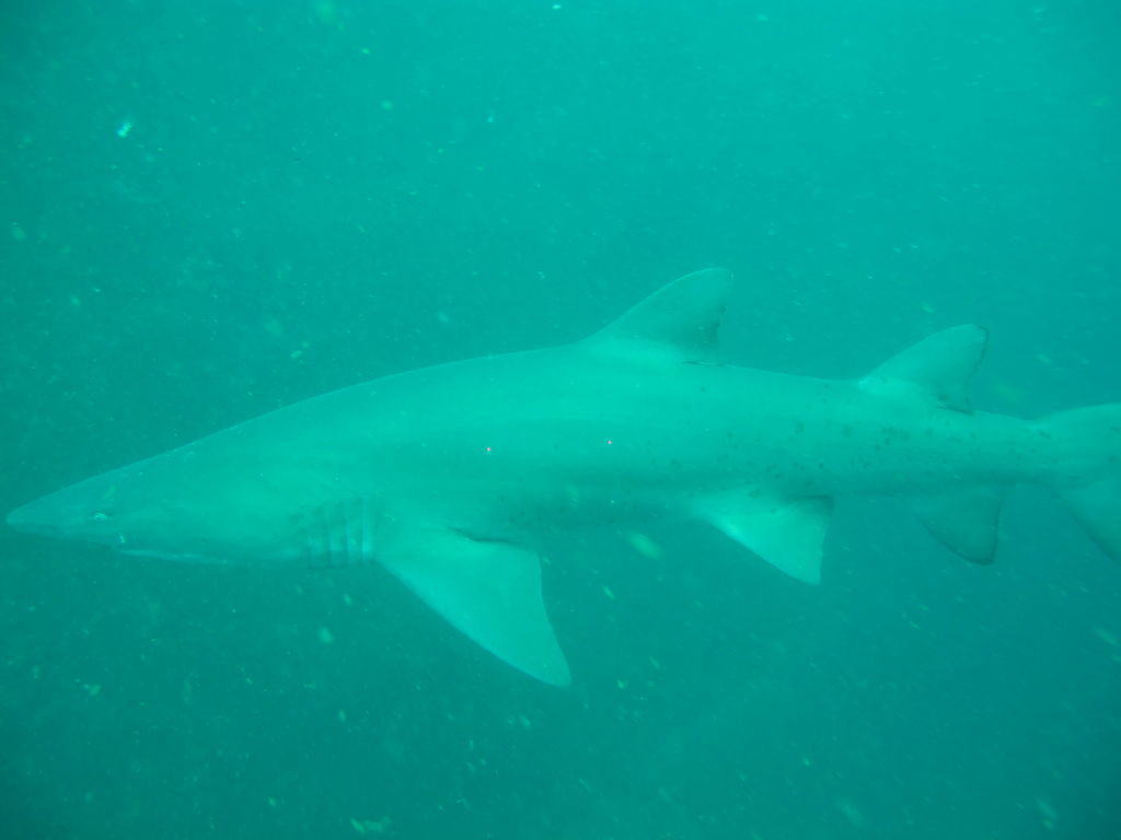 8639f58c-80c9-403e-a98f-f35afa34e84e