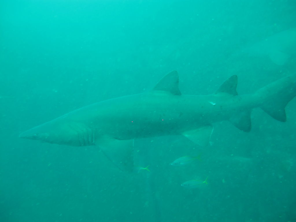 6406df9e-f628-41a9-9a33-09310a2622c8