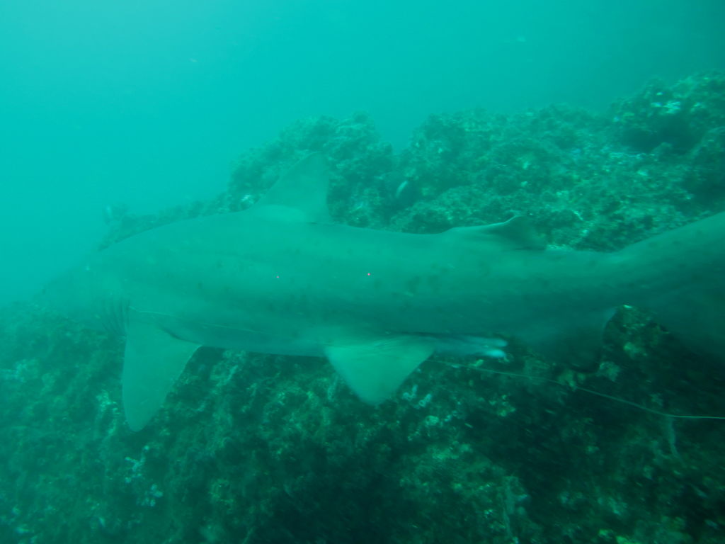 74919671-9cbe-4e28-b192-ed2ff09c73b2