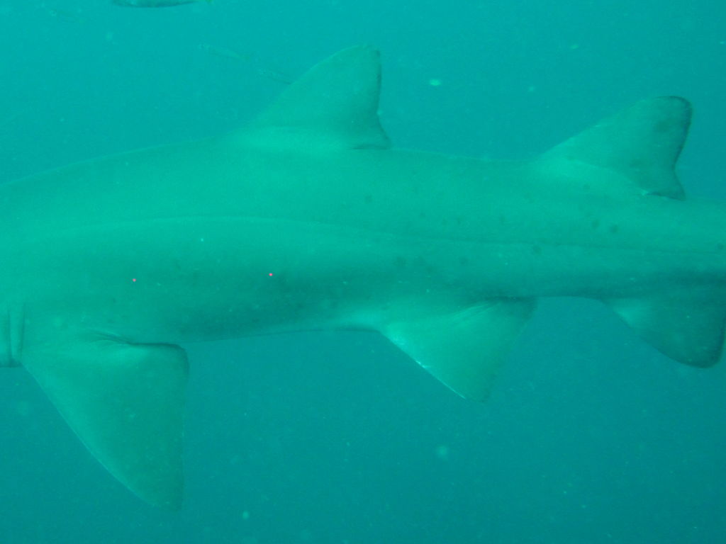 65d10c11-ac7c-413f-9c93-aa975f54849d