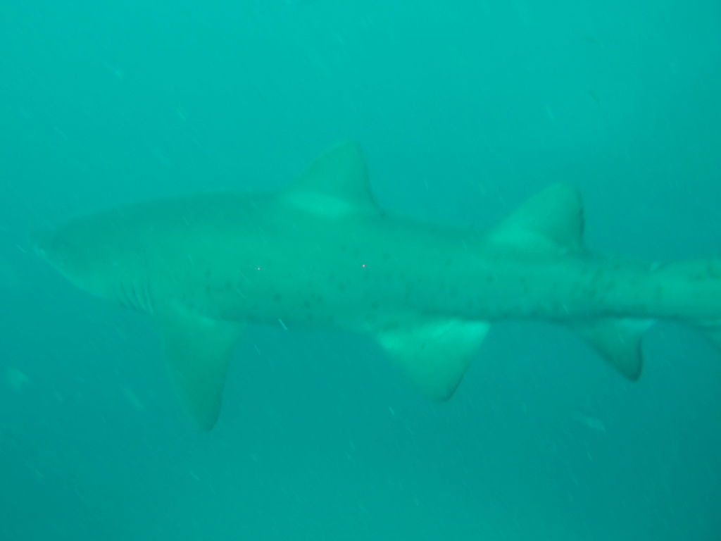 25731c82-45b7-4f88-a224-15b98bd481a8