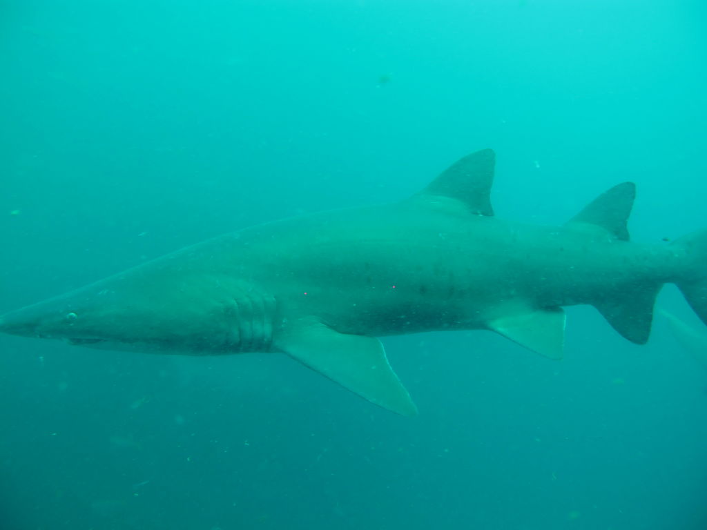 bbbafaa8-5da8-41b5-8afb-e8001819070b