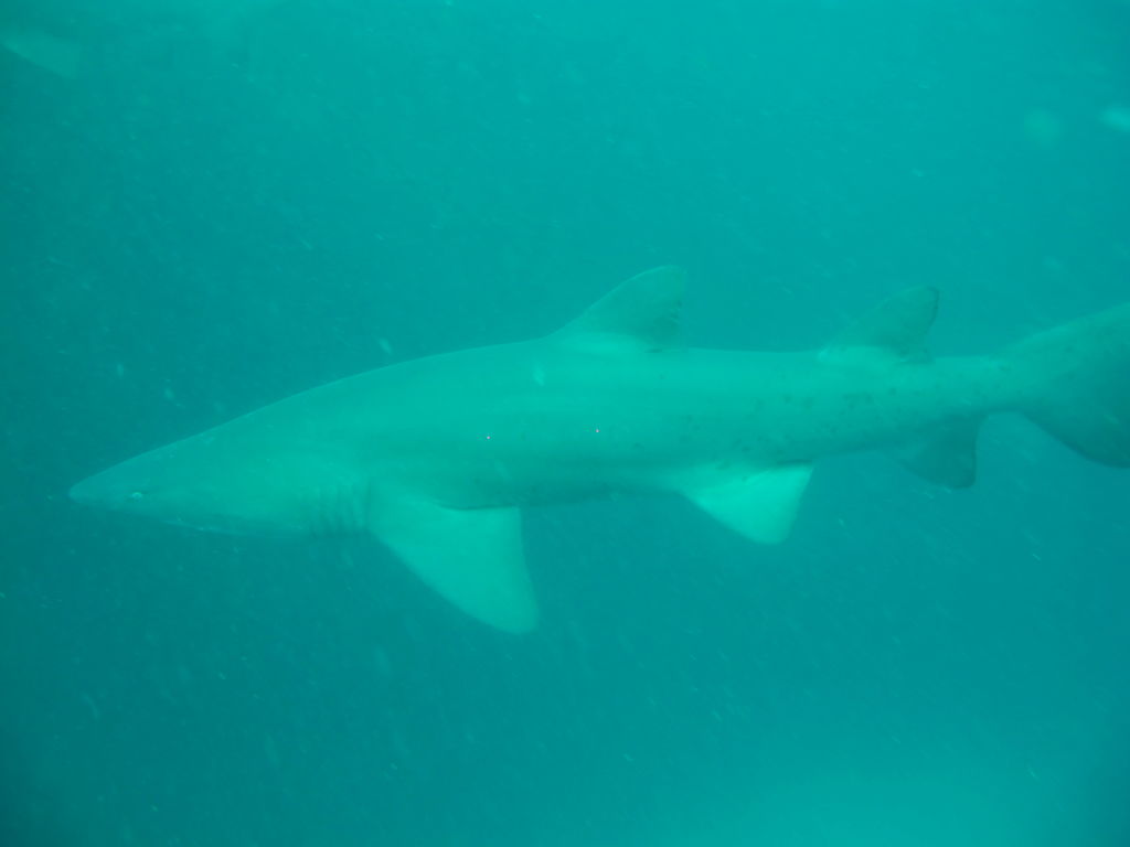 8639f58c-80c9-403e-a98f-f35afa34e84e