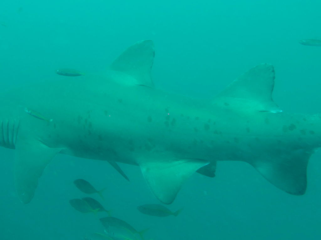 e6f0f9b9-4a69-4762-9391-9490b0b90e7a