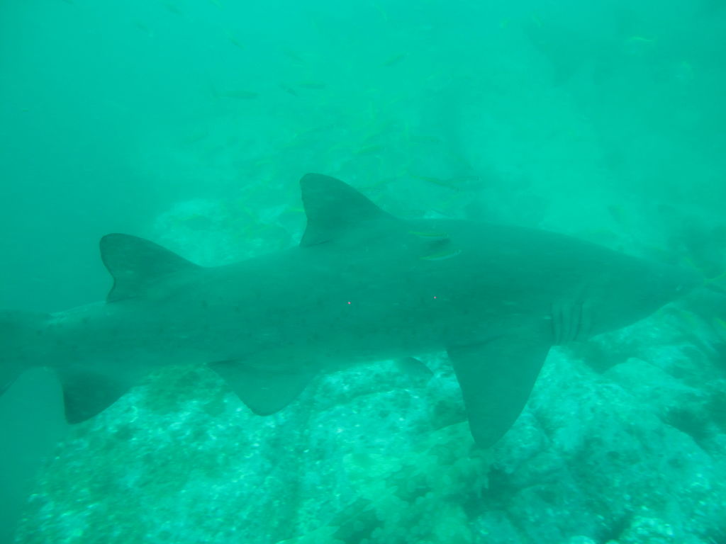 aaf636e8-6327-4db5-96b9-6d31258b2365