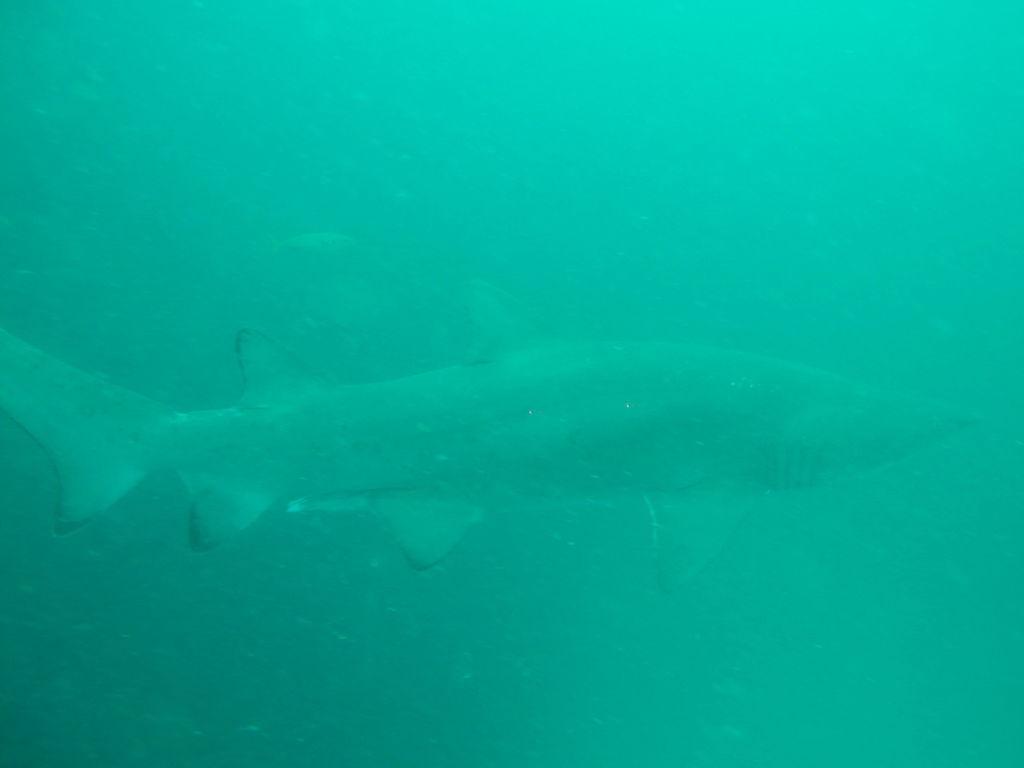 b0d7babf-ba59-4dd3-a672-0861787e0e0d