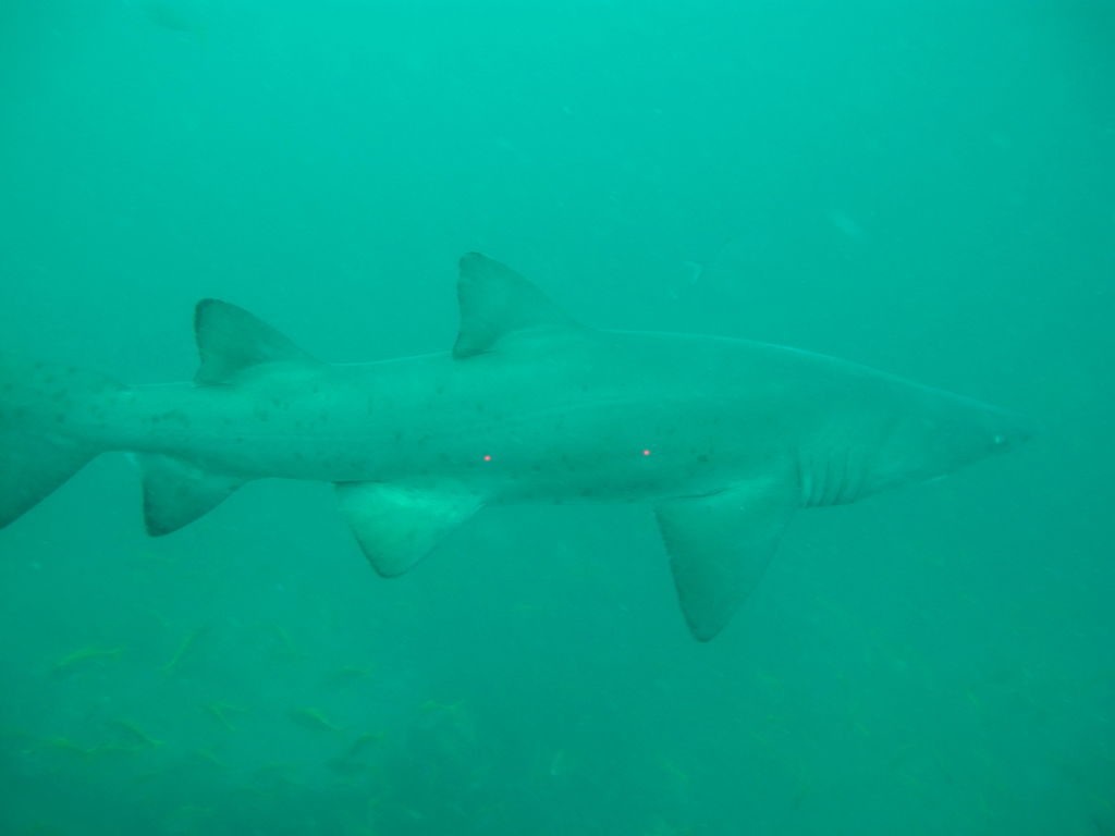 983a5aa9-b6cf-44e5-b9a7-625d7440f940