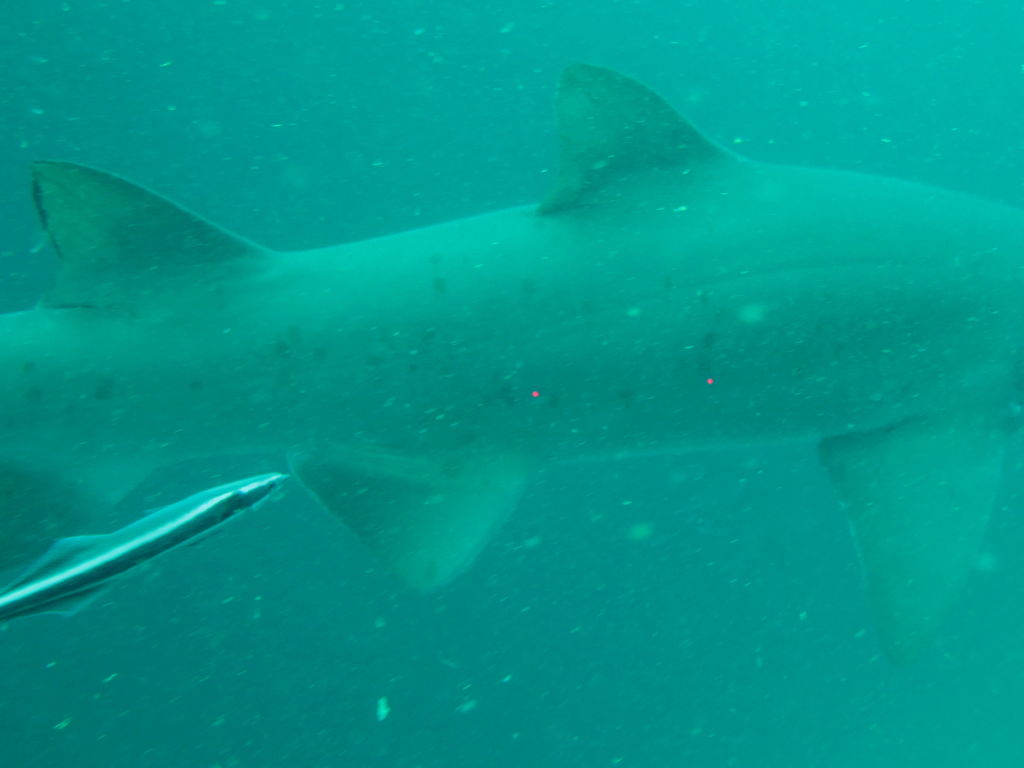 b7720fb2-3b31-4280-be2a-1847c3aa21e5