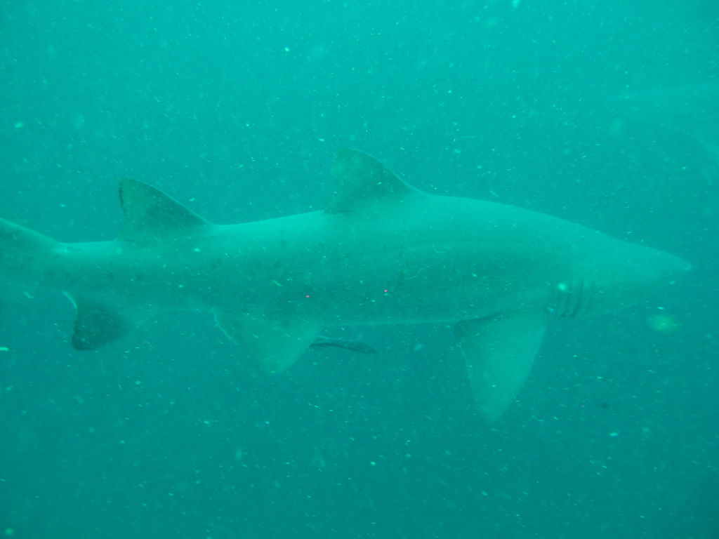 b7720fb2-3b31-4280-be2a-1847c3aa21e5