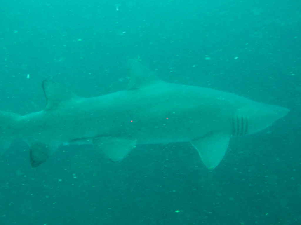 b0d7babf-ba59-4dd3-a672-0861787e0e0d