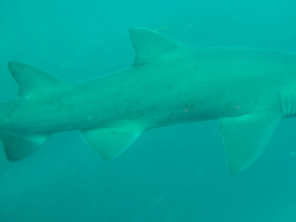 d82554a4-50e4-4895-a4cb-91583e779c3e