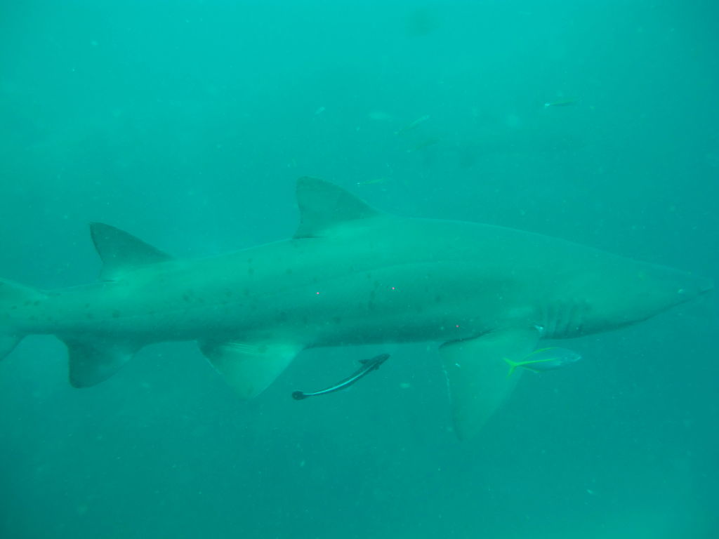 b7720fb2-3b31-4280-be2a-1847c3aa21e5