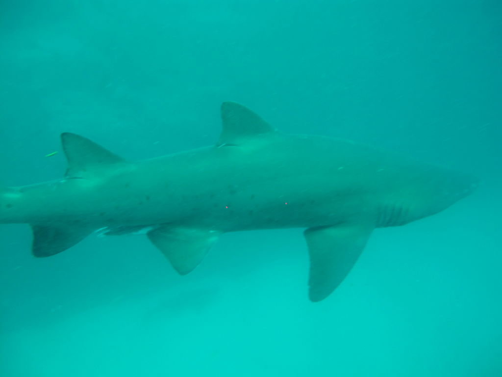 07fbeb69-9ffd-43e2-a0c4-ce3d26a0f65c