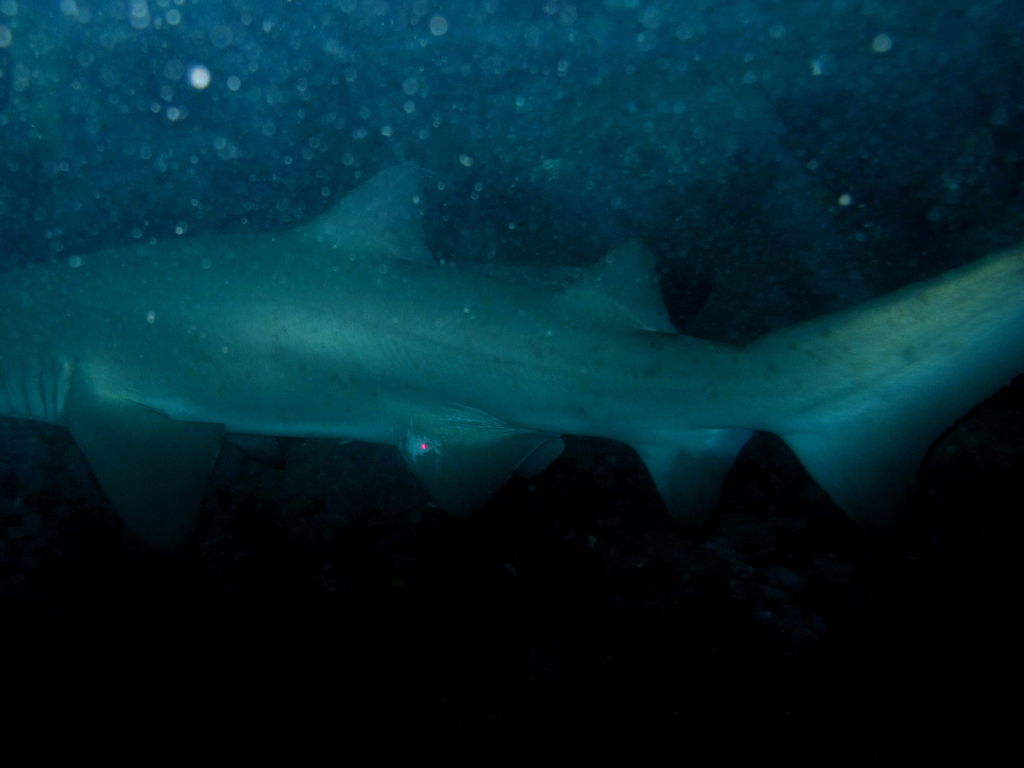 f883b582-5dbe-40aa-b3c5-b30893e09e5f