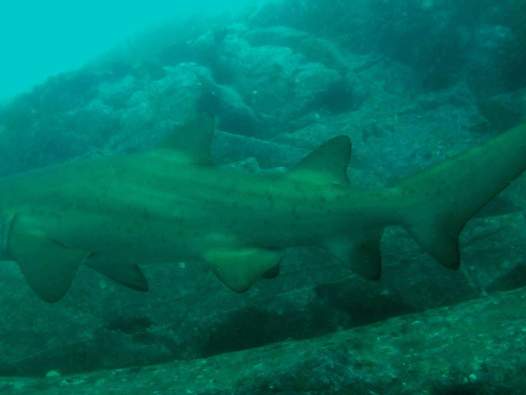 8d6f4cd5-fa46-4a1e-9a66-1e531867b3bf