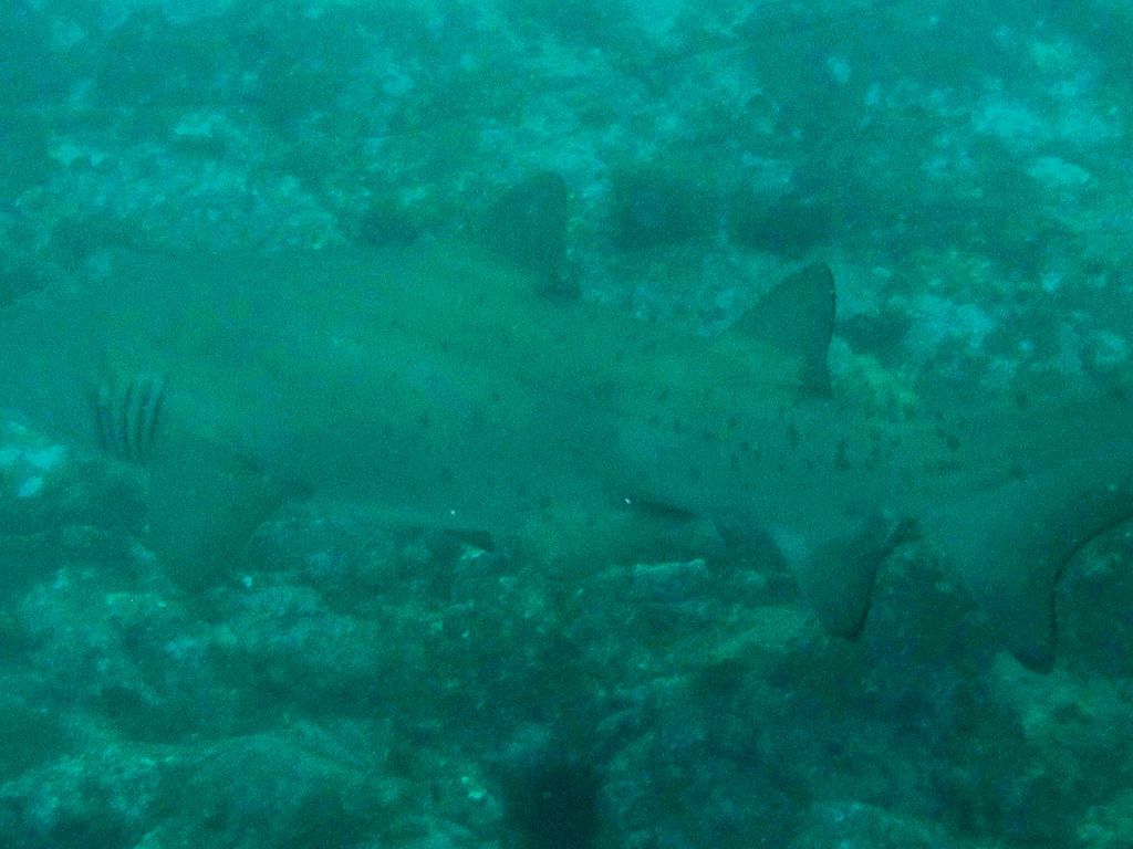 1e3e53e7-a317-46b0-8e67-8d1227efb85a