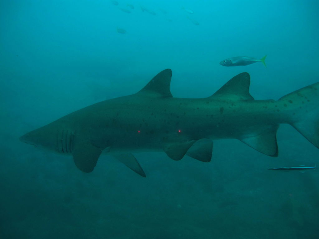 86f328a4-45ea-4956-b99b-0ce2151d6d46