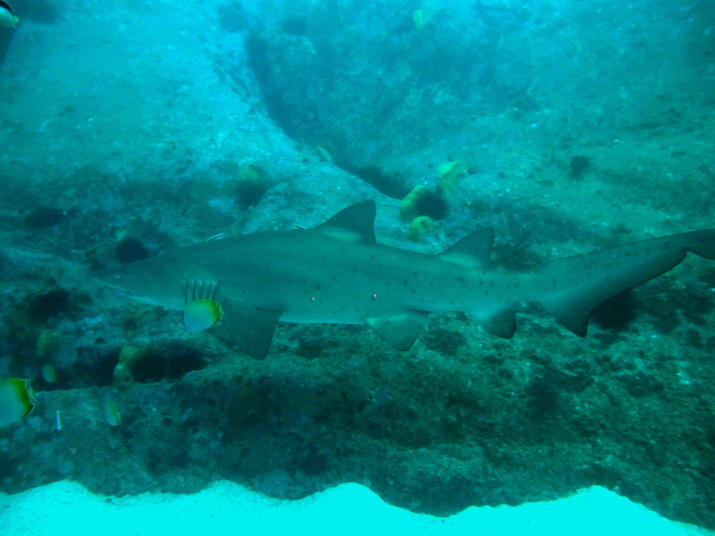 44c422bf-c6da-438c-8489-14e06bec1574