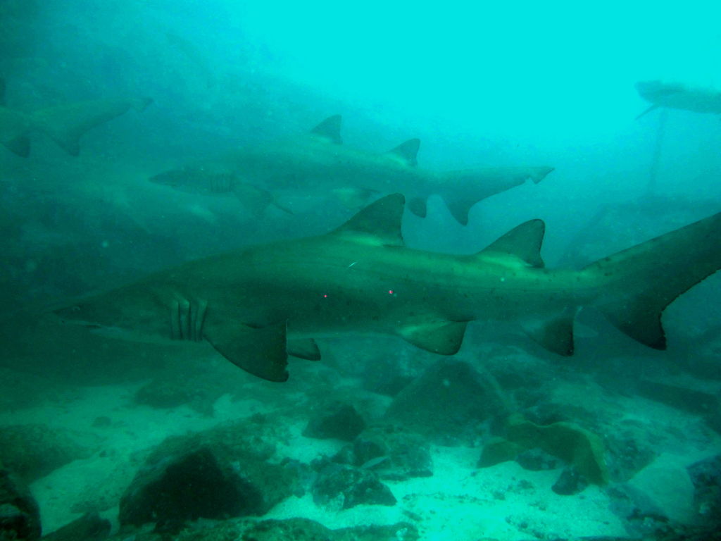 07f0202c-ad49-4c7c-91f1-72ab62e06476