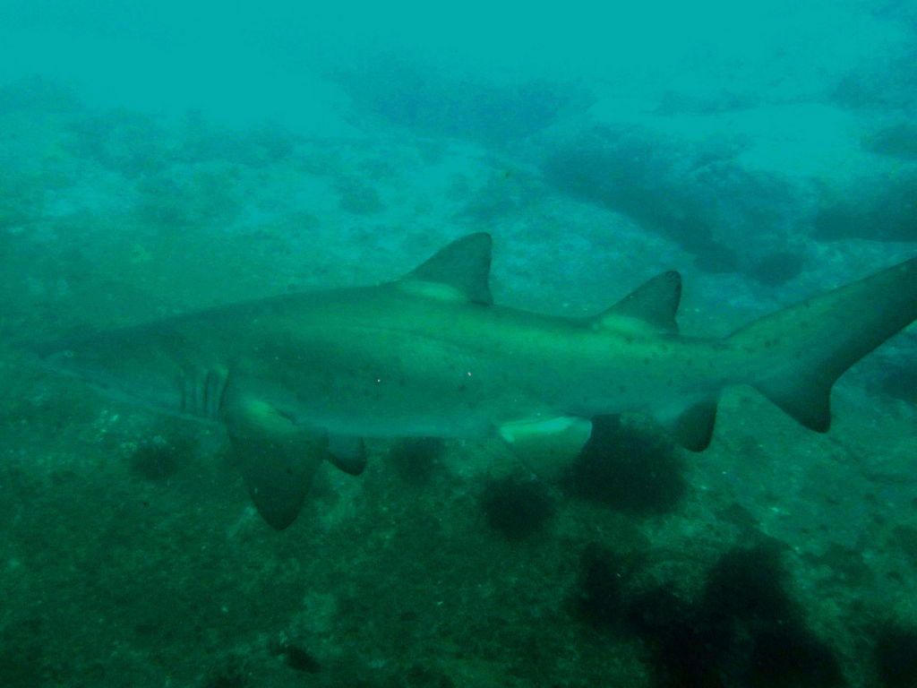 2750fe7f-ea21-4ec2-b68a-300459d87b1e