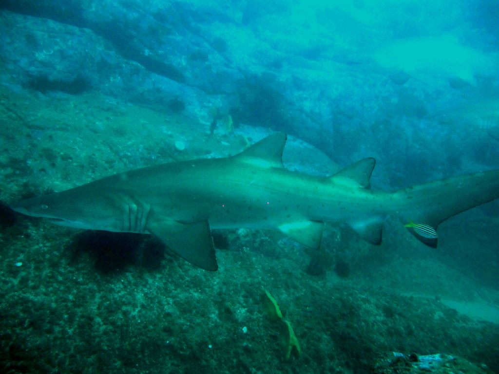 07f0202c-ad49-4c7c-91f1-72ab62e06476