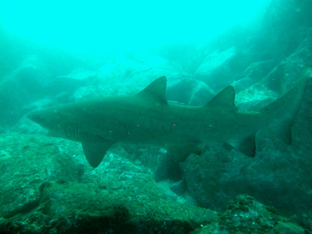 61e9367e-e8c2-4a51-8b32-bca7455007af