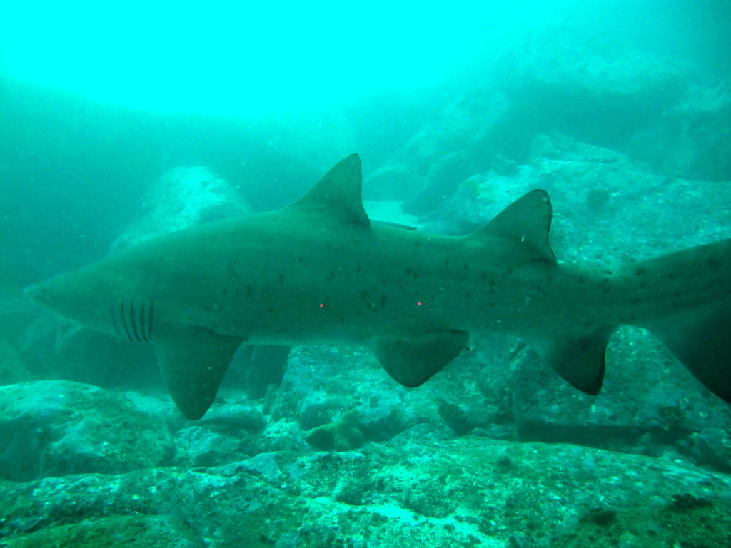 61e9367e-e8c2-4a51-8b32-bca7455007af