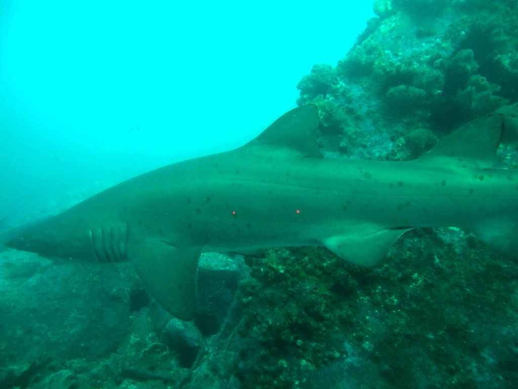 ea18f439-2c88-46d0-b8dc-926cdd2f168f