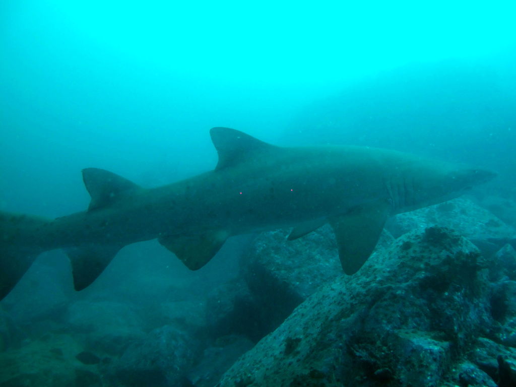 b7720fb2-3b31-4280-be2a-1847c3aa21e5