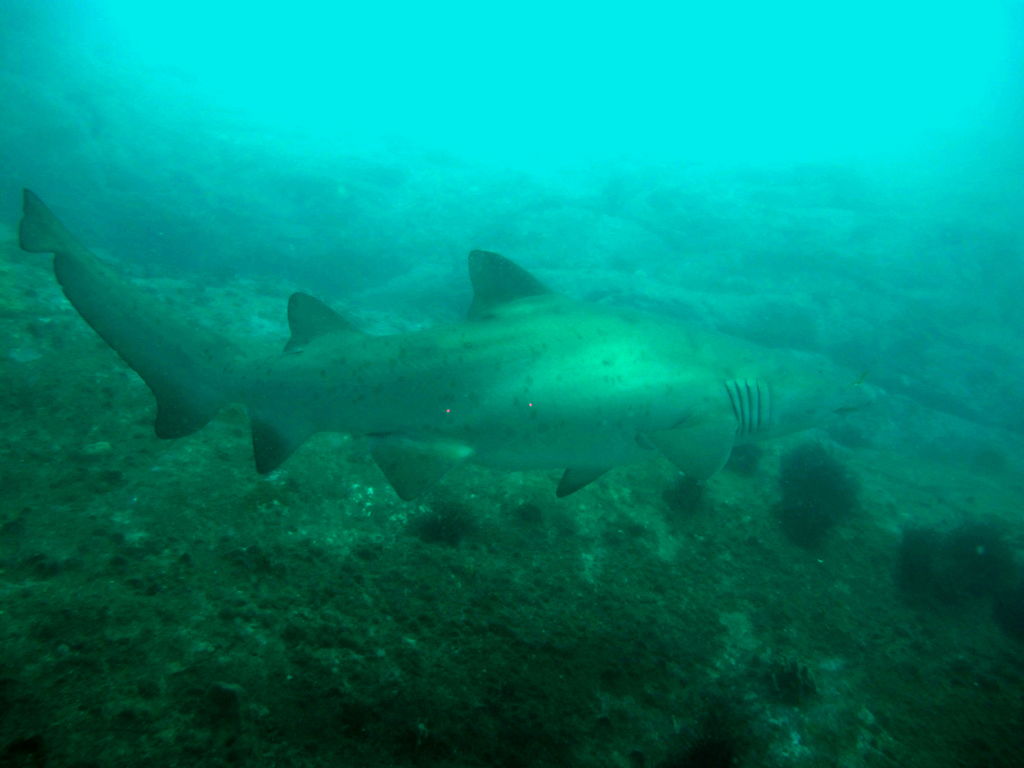 c6167e95-4626-4cb1-877f-ed65d76d05e4