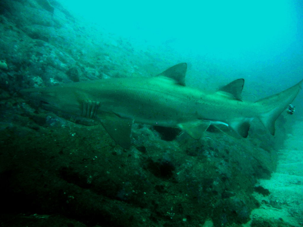 3713b1d6-5b33-46f1-8104-dcba42d31c79