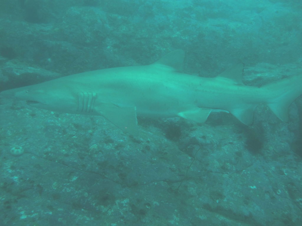 3713b1d6-5b33-46f1-8104-dcba42d31c79