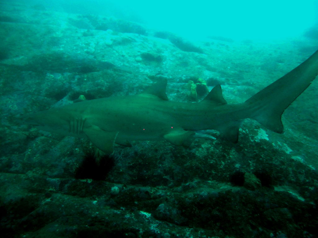 9e1d6635-9cdd-49e5-9714-e011e84d5272