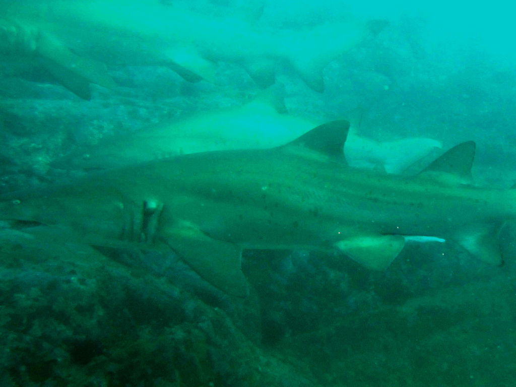 7bb51cac-3419-4d22-b905-4b6b241e2528