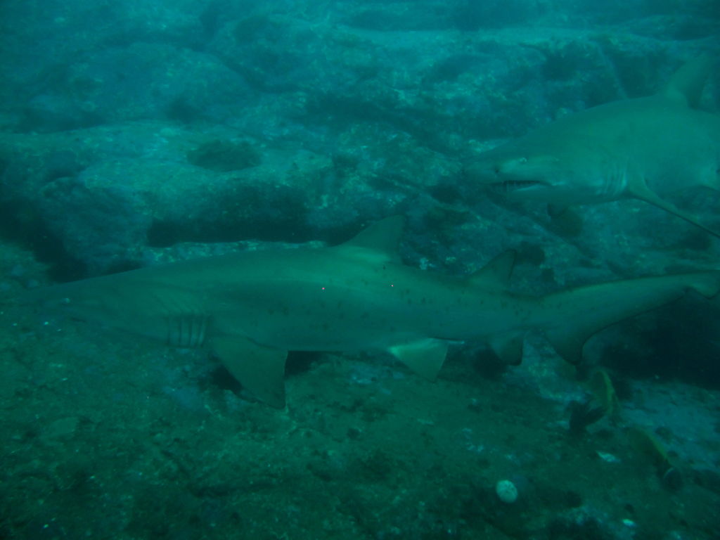 313b24b3-12b3-48a4-a41c-98277fd342fe