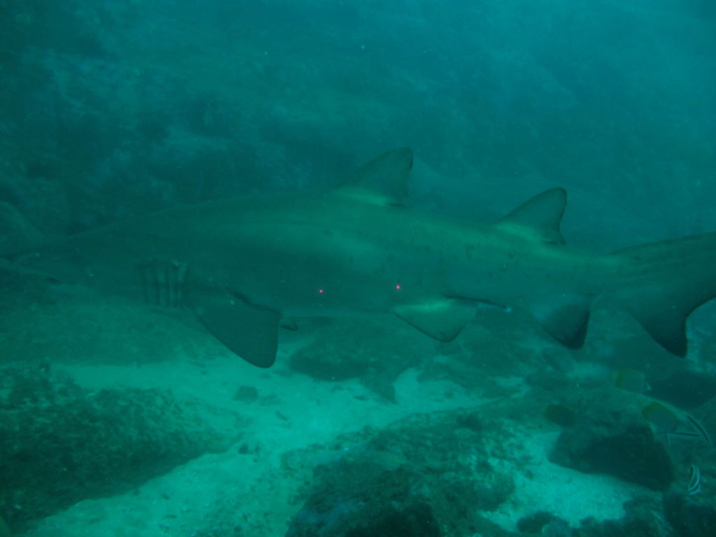 b9dfa09f-3c86-4dcd-97c3-24167347ca07