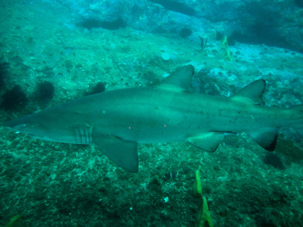 b9dfa09f-3c86-4dcd-97c3-24167347ca07