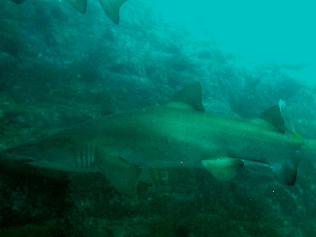 a61213e9-e9d4-49db-9f23-3432b701ccaf