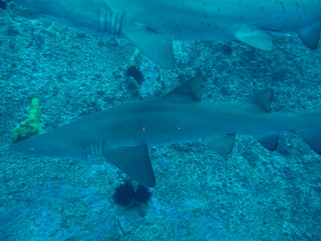 967fa963-80de-4314-b201-616a80b9828d