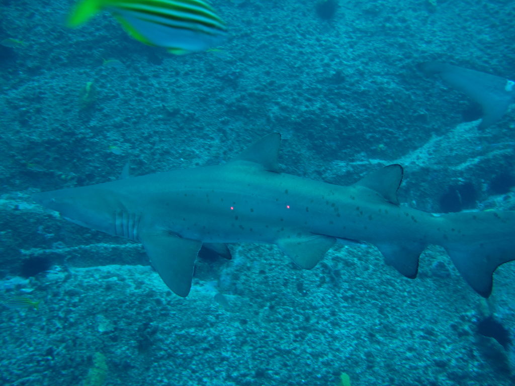 753ca70c-6afa-4aa4-adbb-53bfd0d0b07a