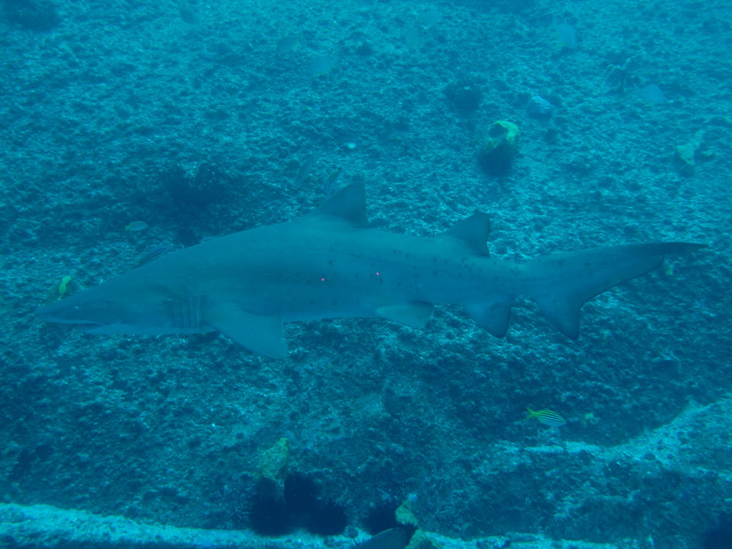 218f69c3-4839-4577-bf2c-f218e0ca1fca