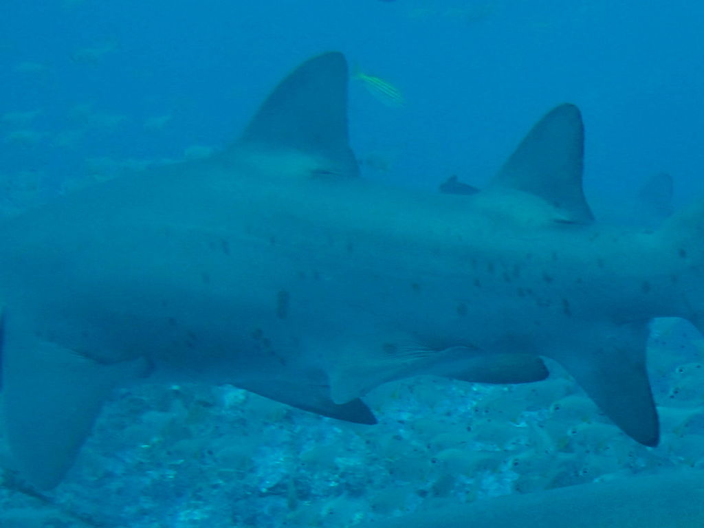 18563e31-15be-4f81-833e-7997238bac26