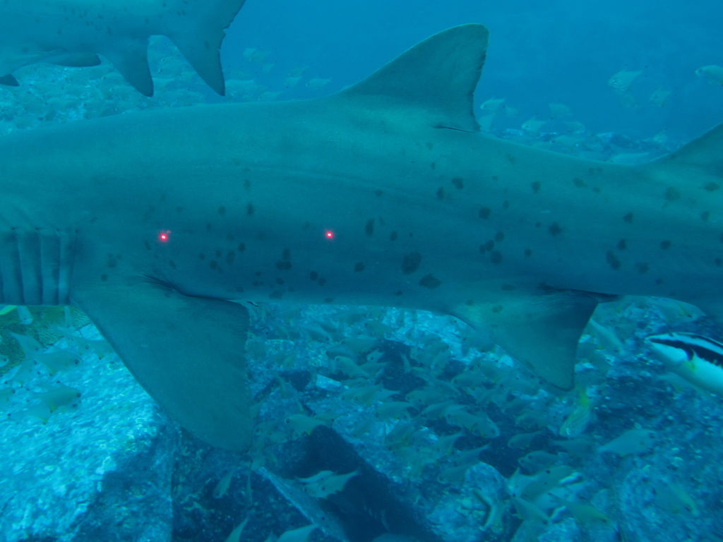 0c550c59-3192-4b17-b16d-2fd6ea6413f2