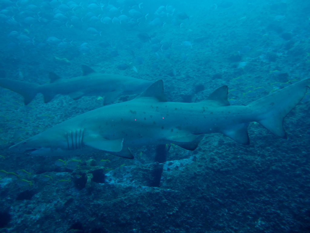 48a1650a-fa1c-487b-adda-65ff56c5762f