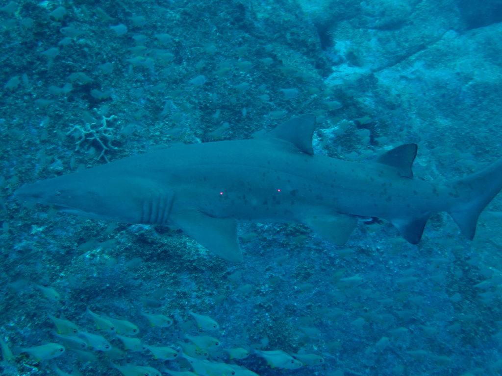 64de8ebf-c500-4ab7-8c53-c4881a08588b