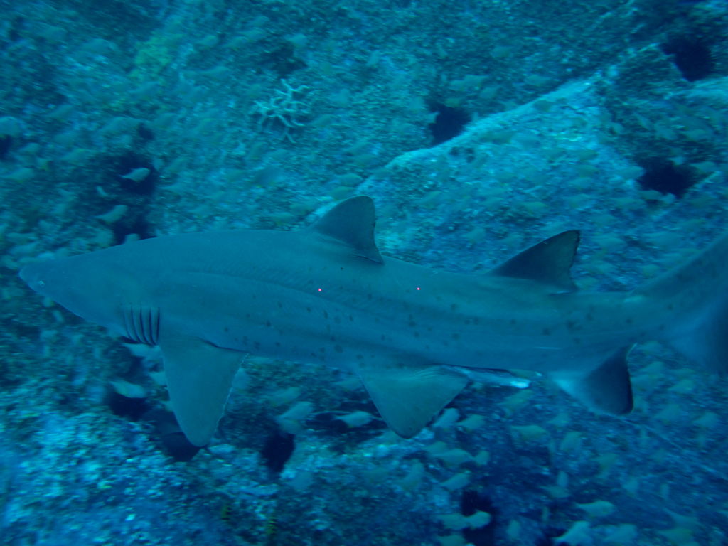 05da92f2-0a8d-4b7f-b6d6-4f268930f6be