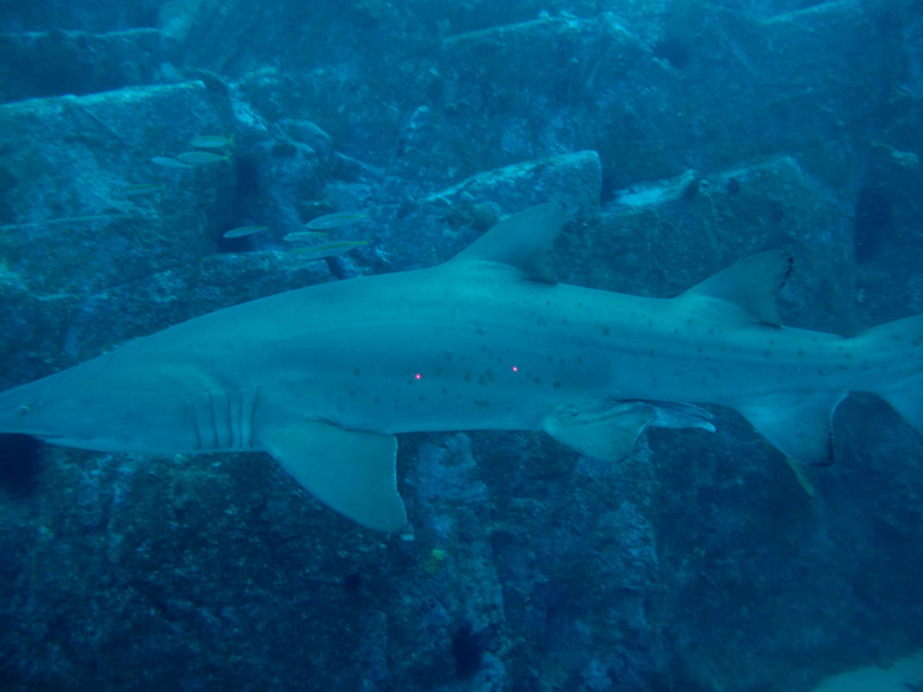 69fd7dc2-7b6f-455f-9dca-c9d8f68698e0