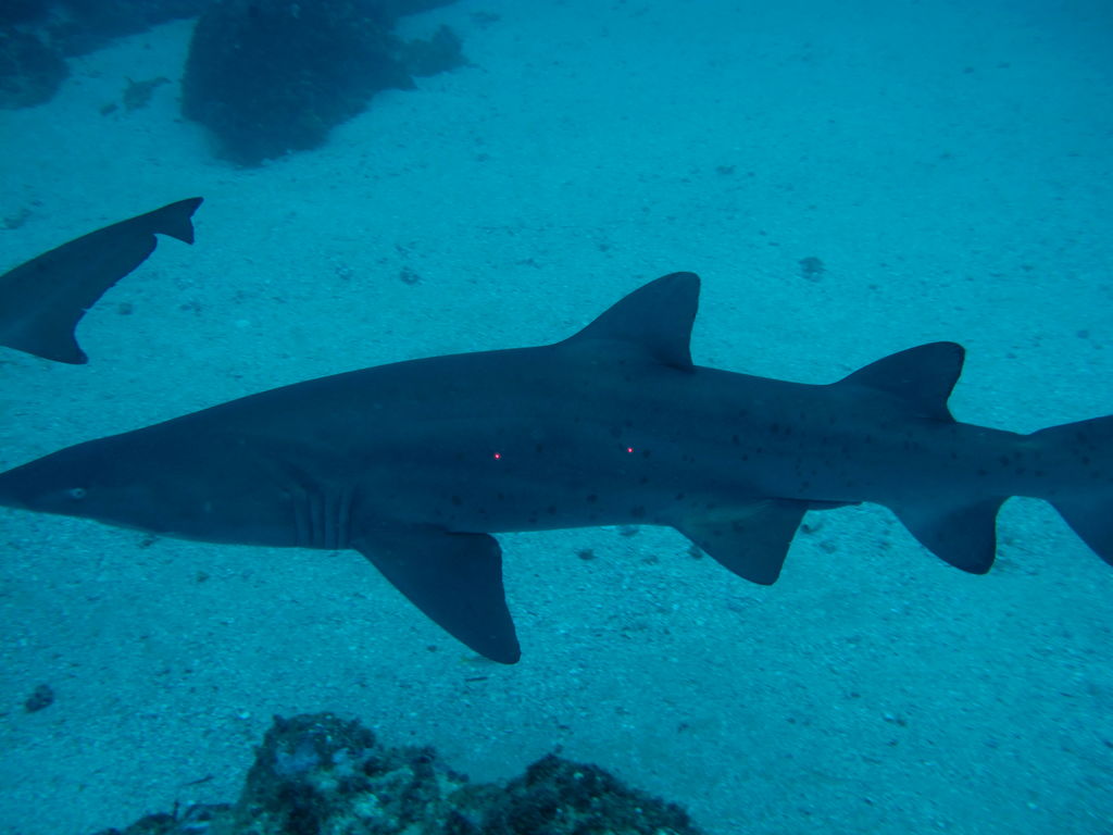 2bc39fb5-48a6-4fd8-ad92-d88db51a6b6a