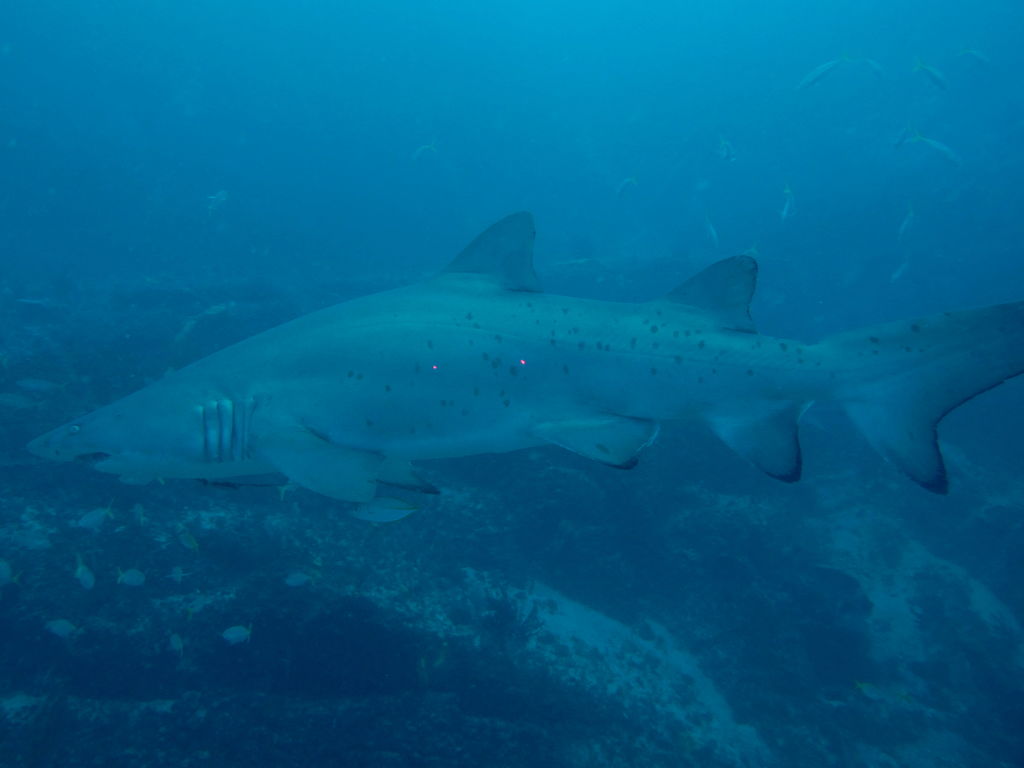 08892bcc-241d-4fd0-845d-ccbd4bea8021