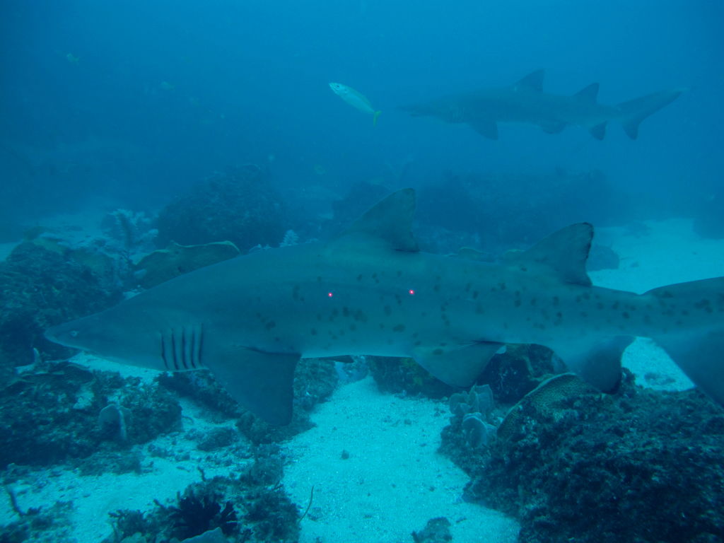 5bba50ed-1cf5-4002-808d-238a6bea92ba